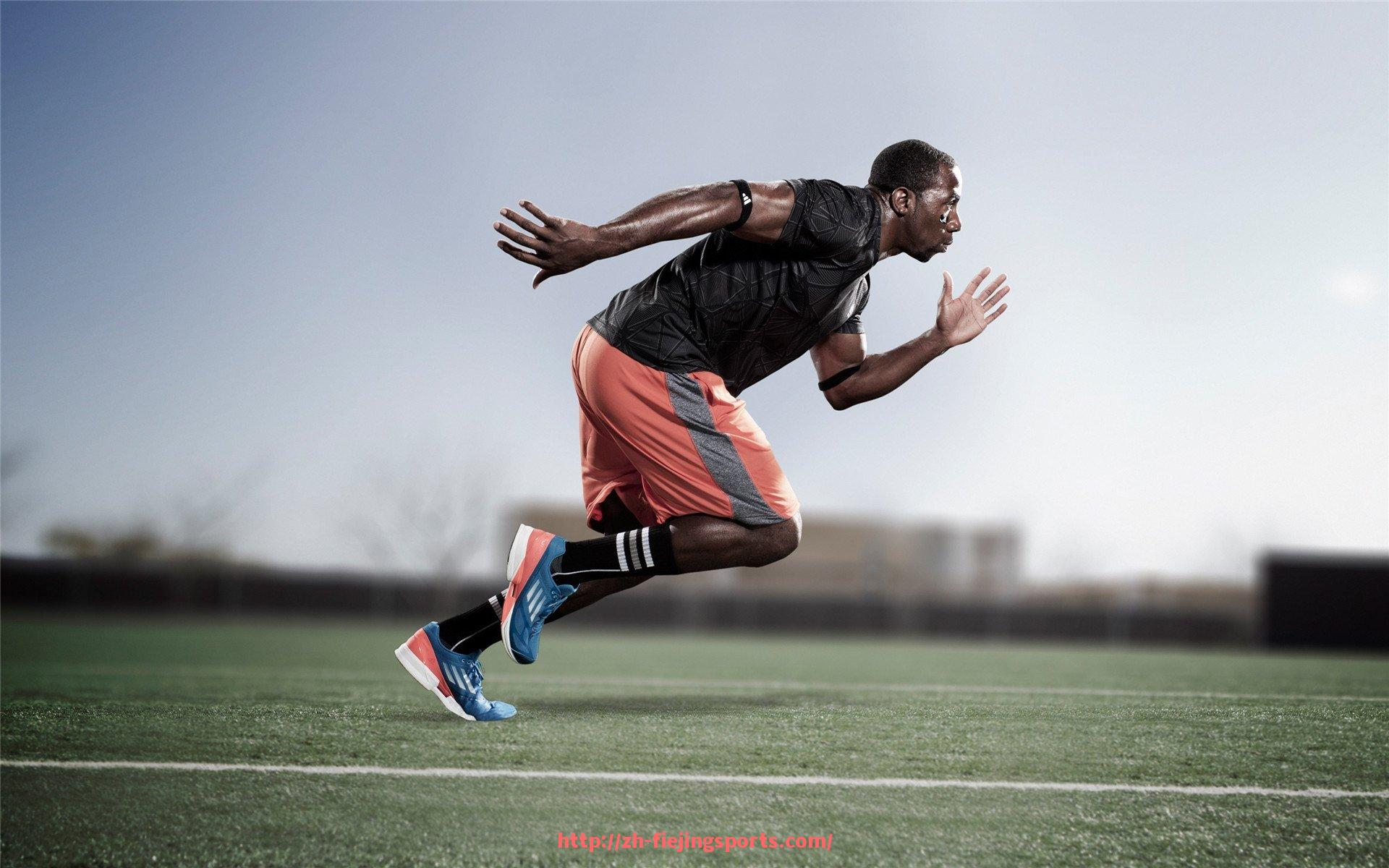 飞鲸体育直播-台湾康乐佳健身器材技术解析：体育制造技术优势