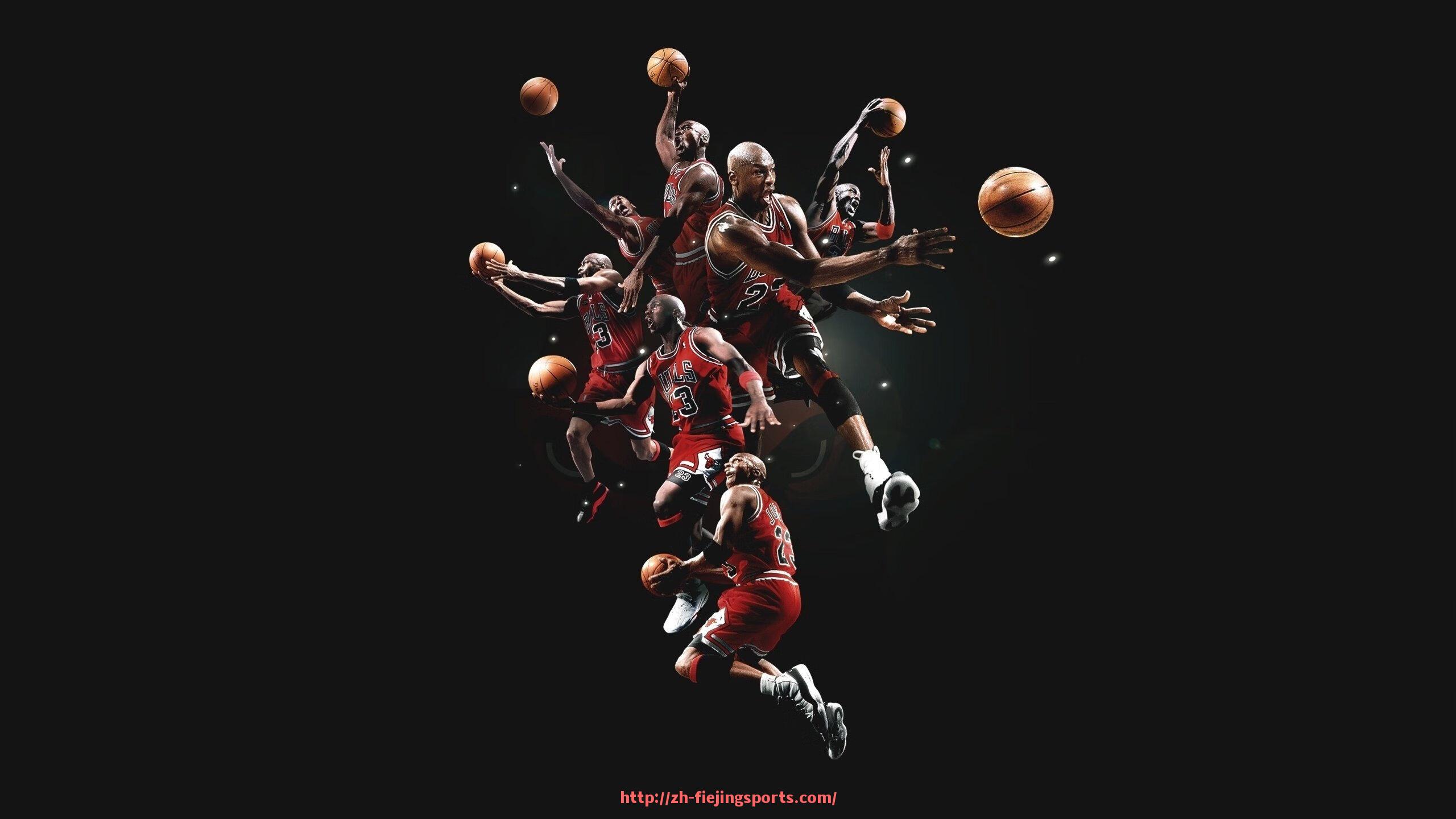 飞鲸体育直播-海外进口健身房健身器材品牌与配置指南