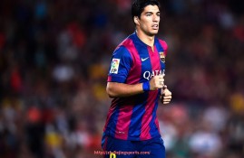 飞鲸体育直播-世俱杯赛场交通指南详解及观众出行便利化方案