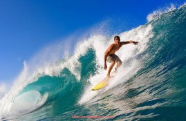 飞鲸体育直播-如何get你的专属健身器材？个性化定制解析